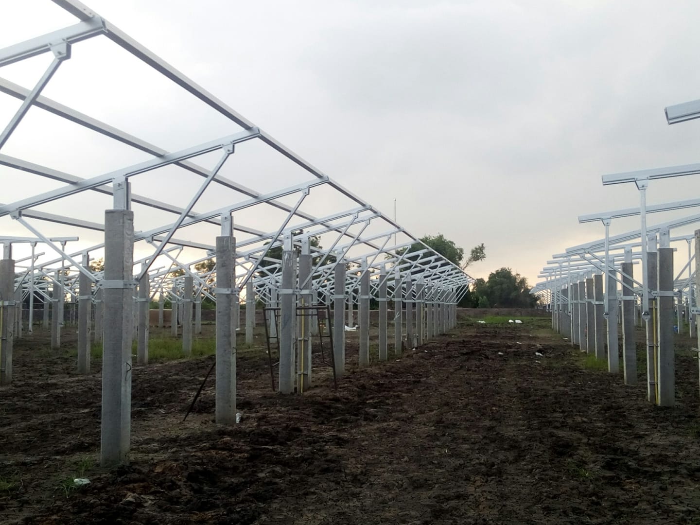 Clenergy Ground-mount 5MW Agrivoltaic Project in Thailand